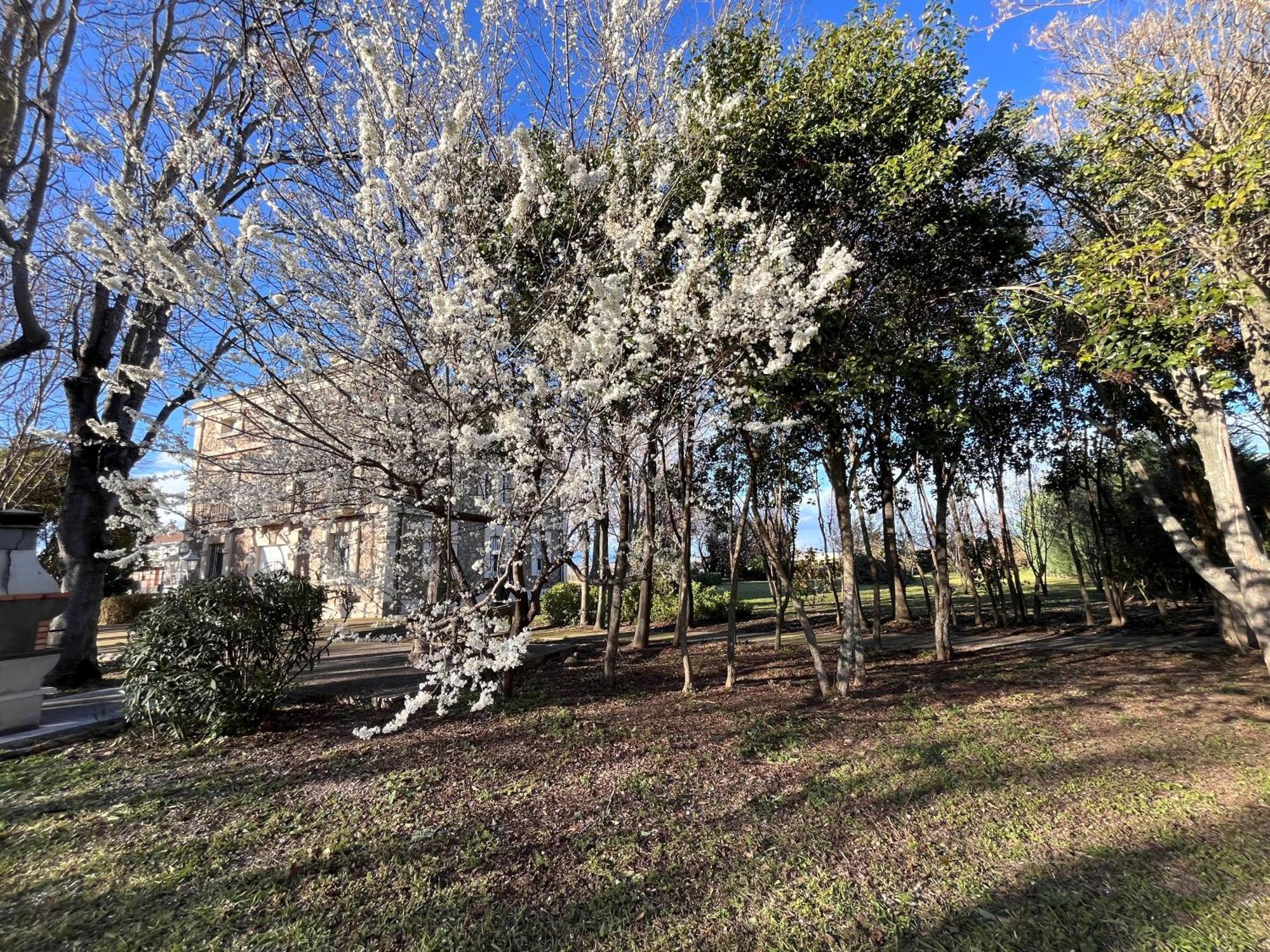 Villa Merenciana Agoncillo Exterior photo